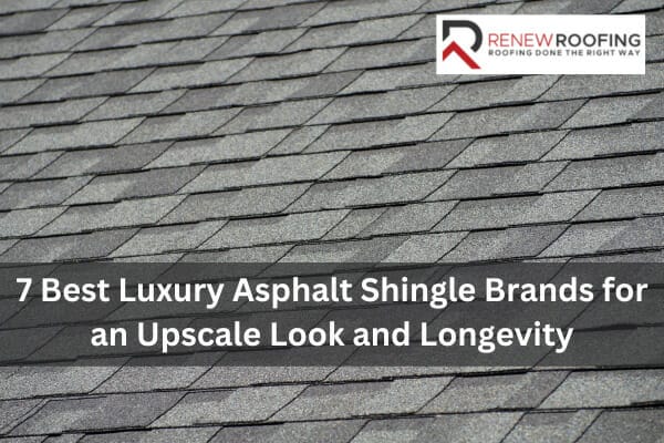 7 Best Luxury Asphalt Shingle Brands for an Upscale Look and Longevity