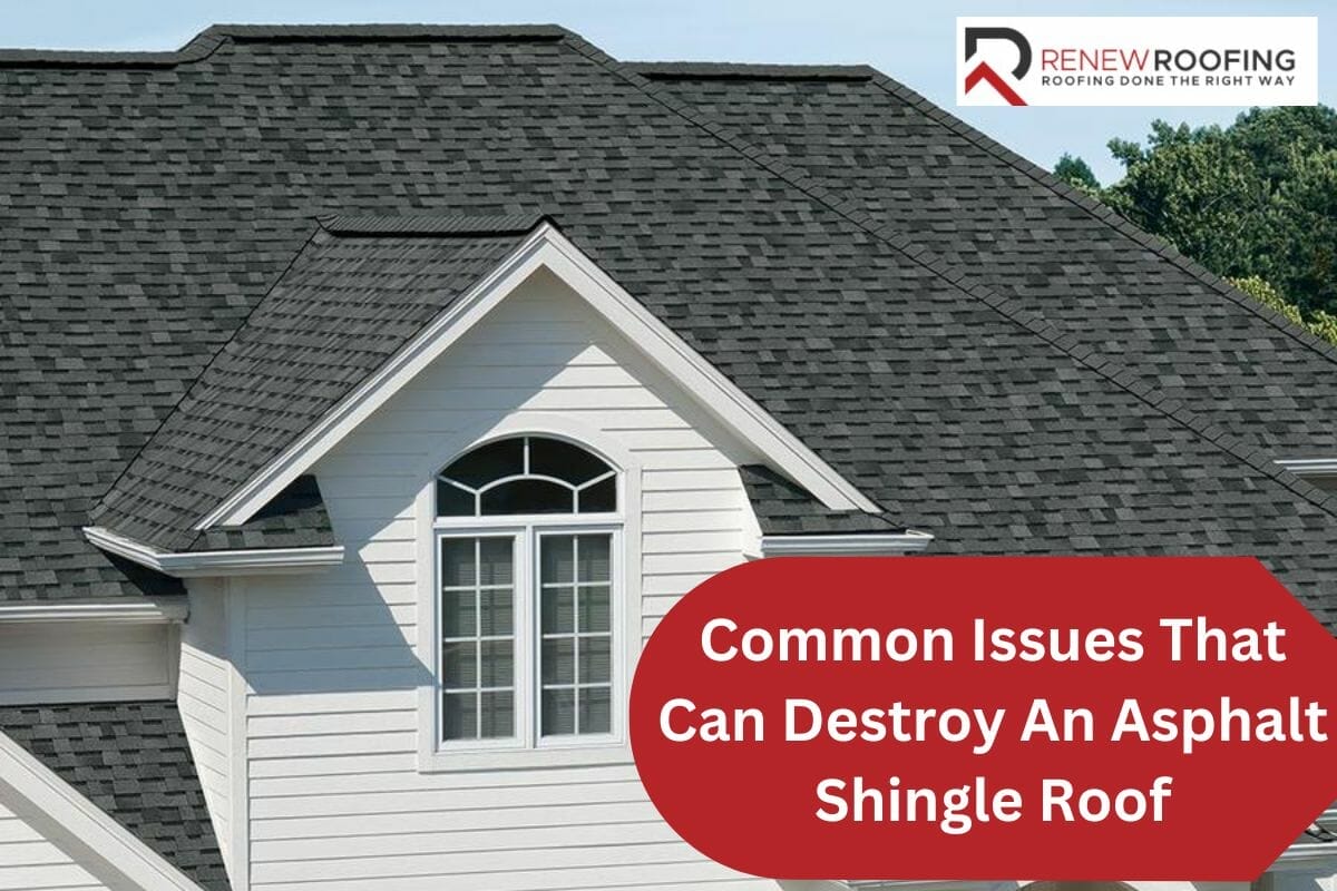 Common Issues That Can Destroy An Asphalt Shingle Roof & What To Do About It