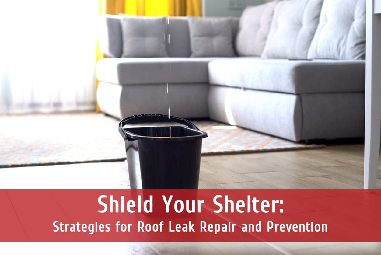 Shield Your Shelter: Strategies for Roof Leak Repair and Prevention